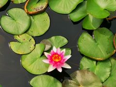 -白马涧龙池景区
