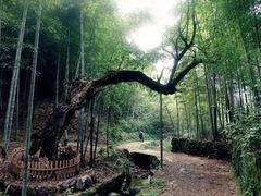 -会稽山峡洞漂流-上青古道