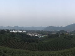 -帐篷客·溪龙茶谷度假酒店
