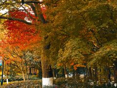 -白马涧龙池景区