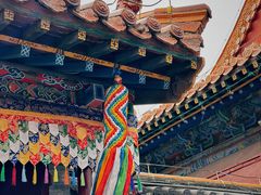 -大召无量寺