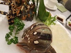 -金悦轩海鲜酒家(银河店)