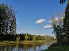 -黄海国家森林公园