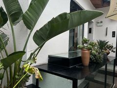 -云里小坐·小院里·团建·宴请·下午茶(三圣乡店)
