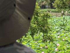 -龙头寺公园