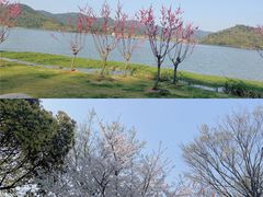 -东钱湖旅游度假区