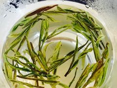 -帐篷客·溪龙茶谷度假酒店