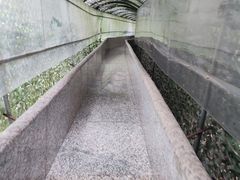 -秦岭终南山世界地质公园翠华山景区
