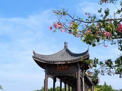 -飞来湖湿地公园