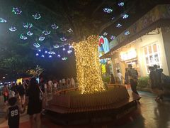 -广州长隆国际大马戏