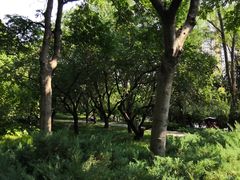 -玲珑塔公园