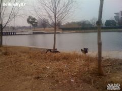 -同济大学(嘉定校区)