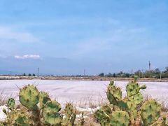 -莺歌海盐场