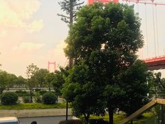 景观位-KCOOKING概念韩餐(世茂52+店)
