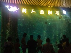 -锦艺城海洋馆