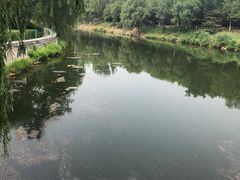 -北京张裕爱斐堡酒庄
