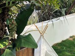-悦哉·派对·草坪婚礼·围炉煮茶(三圣乡店)