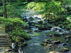-广州市石门国家森林公园