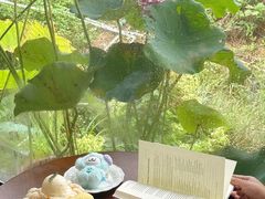 -东莞植物园