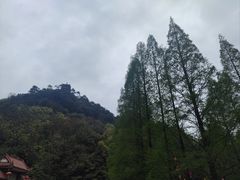 -缙云山景区