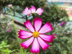 -墨江北回归线标志园