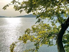 -东钱湖小普陀景区