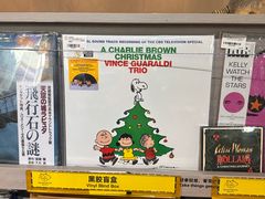 -浣熊唱片店(上海影城店)