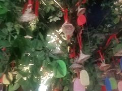 -老牌坊云南鱼豆花火锅(哈西万达店)
