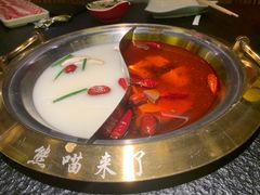 -熊喵来了火锅(长安万达第94分店)