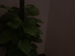 -水云间水疗会馆(福强路店)