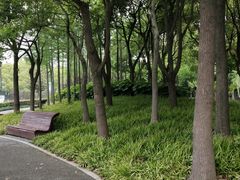-陈家山荷花公园