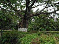 -沙河三洞古桥公园