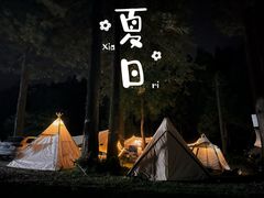 -武陵山森林公园