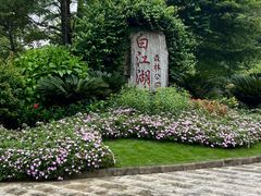 -广州白江湖森林公园