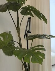 -挚纯baby儿童摄影(庐阳区店)