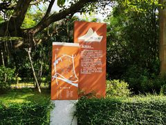 -滴水岩森林公园