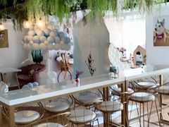 -Husky Go! 哈士奇体验馆·宠物咖啡厅狗咖