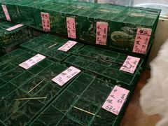 -荔城生鲜盛宴(番禺旗舰店)
