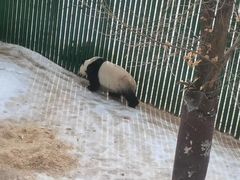 -沈阳森林动物园