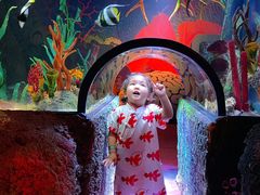 -沈阳海洋探索中心