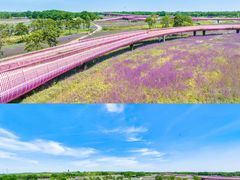 -江苏三台山国家森林公园