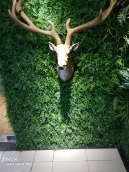 -V-STAR威斯达•高级私人定制