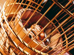 -胡桃里音乐酒馆(曲江店)