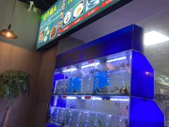 -石锅苗苗鱼(武汉首店)