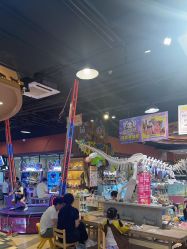 -卡通尼·Safari非洲探索乐园·生日会(金桥国际商业广场店)