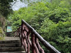 -鹿院坪生态旅游景区