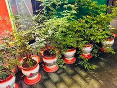 -永安里地摊烤肉(首创店)