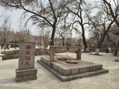 -北山公园
