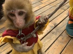 -宁波五龙潭景区