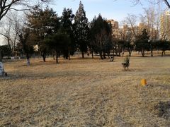 -石榴庄公园